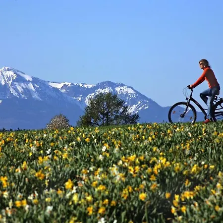 Moosleitner Freilassing