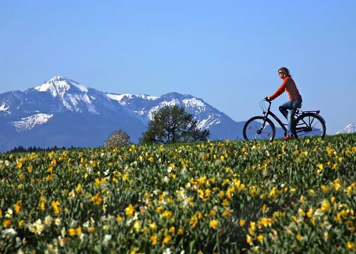 Moosleitner Freilassing